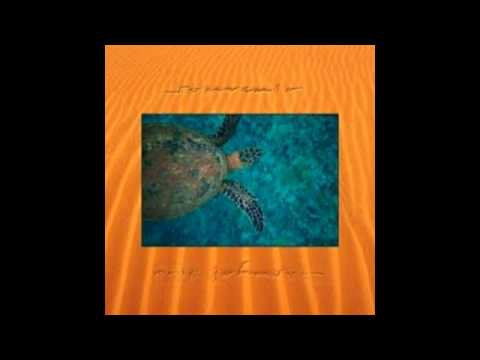 Eric Johnson - Paperback Writer (Beatles)