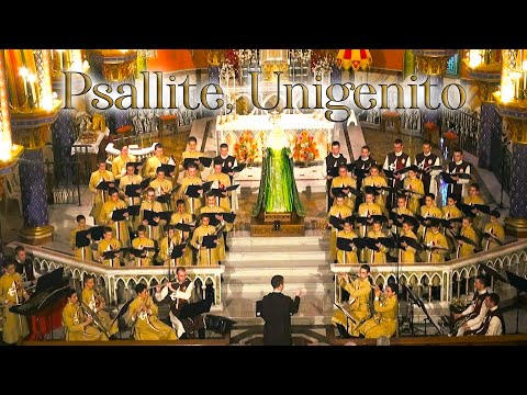 Psallite, Unigenito⎜Michael Praetorius (Louvor Perene com os Arautos)