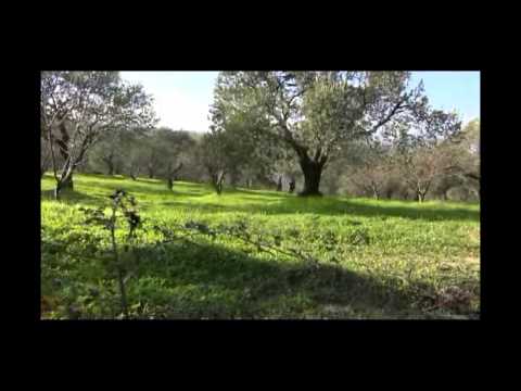 هجوم كتائب الجيش الحر على مواقع قوات النظام في قرية اليعقوبية في ريف إدلب ضمن معركة "التوحيد والإخلاص"