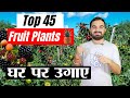 Top 45 Fruit Plants For Your Home Garden Top Fruits Plant Home Kitchen Garden Plantation Kheti