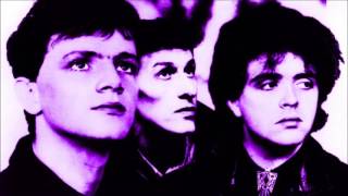 The Icicle Works - A Factory In The Desert (Peel Session)