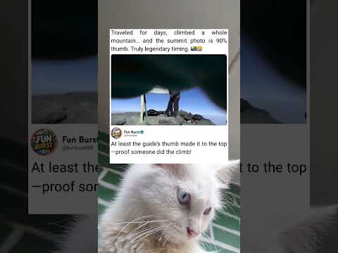 A Summit Photo Surprise When a Thumb Covered the View