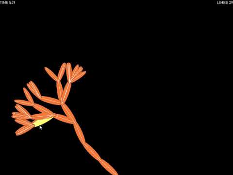 Prototype: Bonsai Tree Simulator