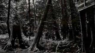 Video thumbnail of "Wolves In The Throne Room - I Will Lay Down My Bones Among the Rocks and Roots"