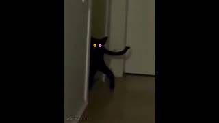 FRIEND IS HERE