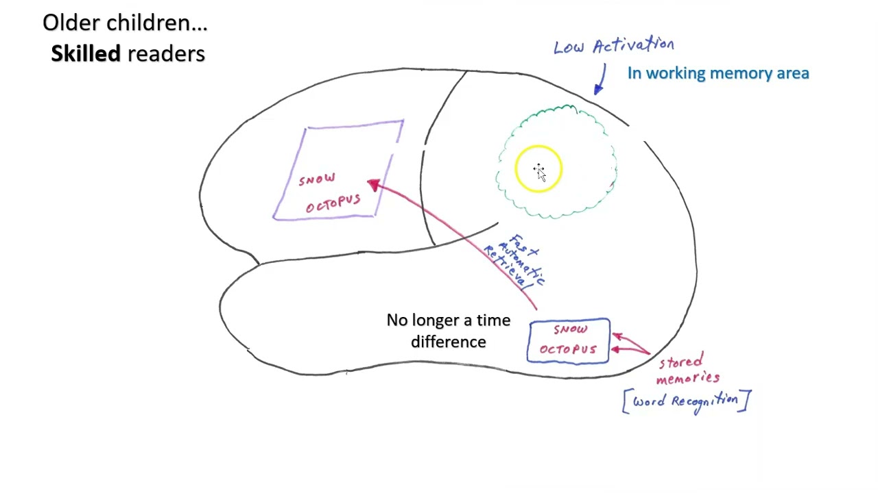 Why should we over-learn information?