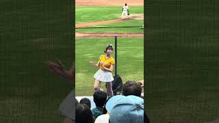 【Passion Sisters】#瑄 ドミニカVS中信兄弟@桃園棒球場 20241110 #台湾チア #cheerdance #cheerleading #passionsisters