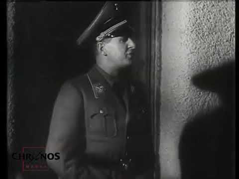 Die Gauleiter des Dritten Reiches   Hitlers politische Generälevonschirach