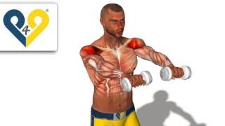 Front Raises Dumbbells