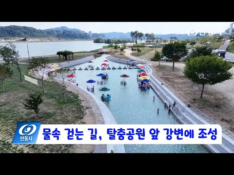 [안동 현장 리포트] 8월 1일, 낙동강변 물속걷는길 조성