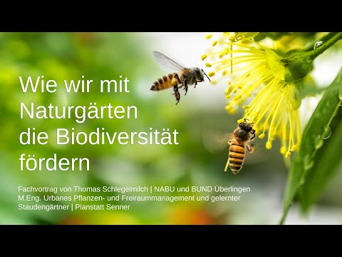 Fachvortrag bei NABU | Wie wir mit Naturgärten die Biodiversität fördern | Thomas Schlegelmilch