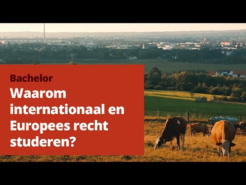 Waarom Internationaal en Europees recht studeren?