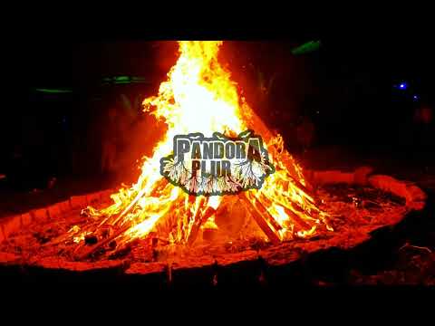 After Movie - Pandora Plur Carpe Diem Old Skull