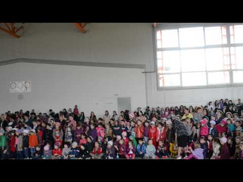 Portativul muzical  12 05 2014