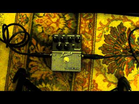 Tech21 Leeds with EHX 44 Magnum & Carvin x100b