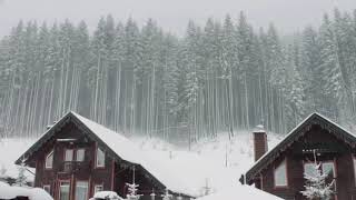 Jonghyun 따뜻한 겨울 ( Our Season) in a winter day