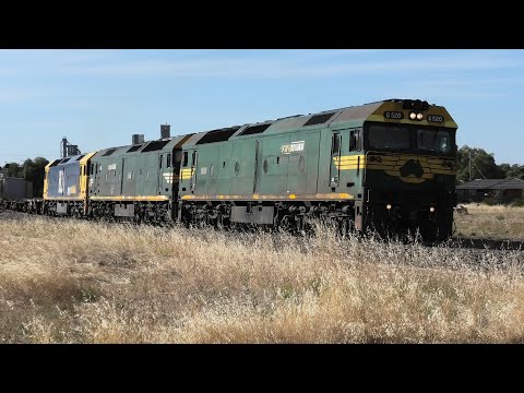G520-539-BL26 on 7901V at Dunolly.  21-01-21.
