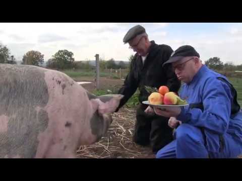 Wiesse Sjwaam - d’r Kuusj