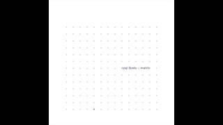 Ryoji Ikeda - Matrix (99-00) Disc 2 Full WAV