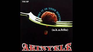 Akinyele - The Robbery Song [1996]