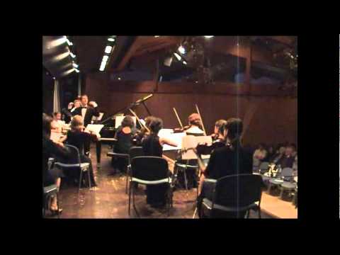 Haydn - Klavierkonzert Nr.11 - 1st Mov. (Bavarian House YouthSO of Odessa - Mattia Peli, 2005)