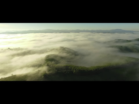 Video thumbnail for Herança Verde Escuro