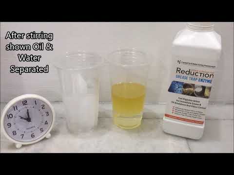 Pengurangan Enzim Perangkap Minyak