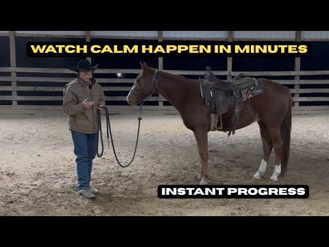 What I do the first 10 min with a Green Horse