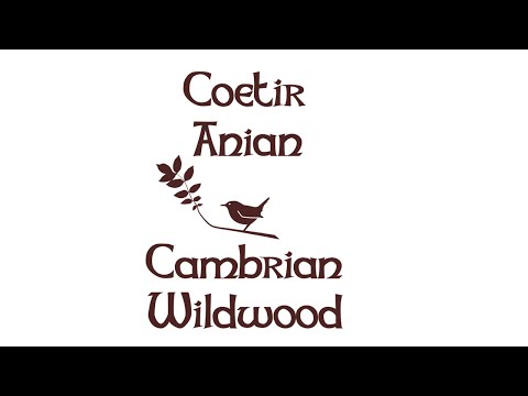 Coetir Anian - Cambrian Wildwood