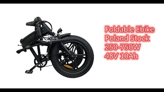 Folding Ebike (Poland Warehouse Stock Chanson 250W 750W 10Ah EB05)
