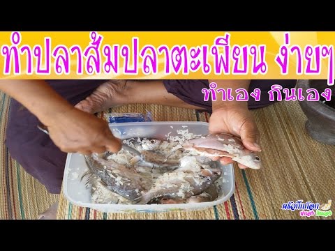 คลิกเพื่อดูคลิปวิดีโอ