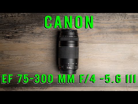 Video thumbnail for Video Review 3