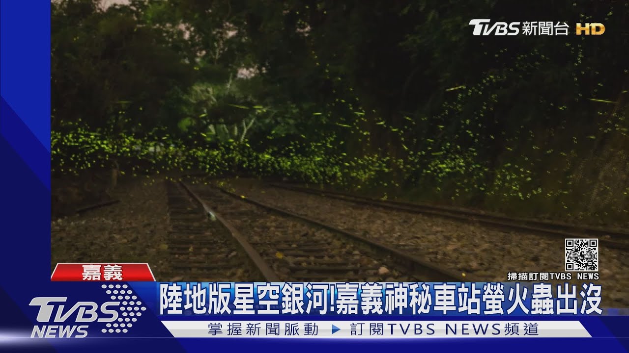 陸地版星空銀河!嘉義神秘車站 螢火蟲現身漫天飛舞
