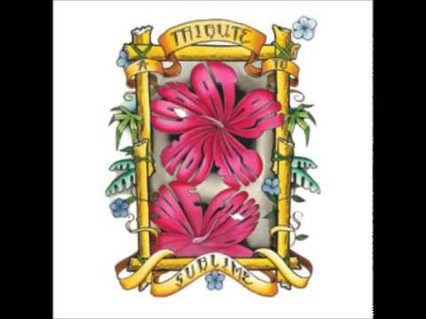 Bargain Music - Get Out (Sublime Tribute)