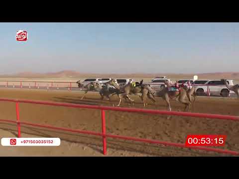  ش 18 (الشاهينيه) لـ سالم محمد بن مويز الدرعي 2:14:54 ، شارة الصندوق 2026/05/09 فطامين الرقيعات