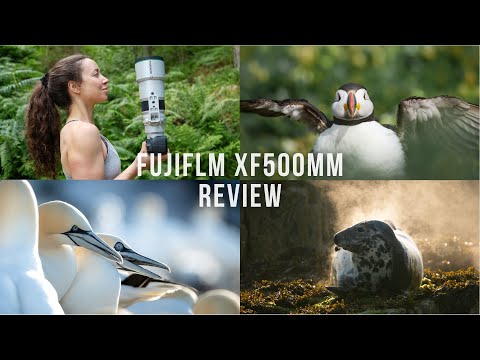 Fujifilm XF500mm REVIEW | Fujifilm X-H2s | Photography & Videography
