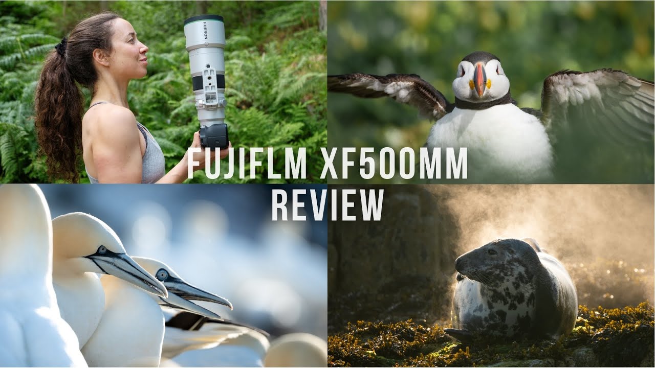 Video thumbnail for Video Review 3