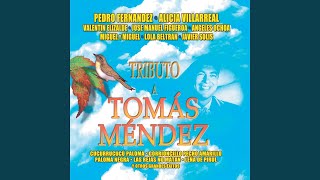 Que Me Toquen Las Golondrinas