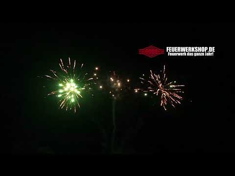 Jorge - Perpetuum Mobile (SFC12) - 2018