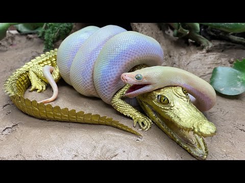 Stop Motion ASMR - Big Python eats Alligator Goldfish Koi Carp Cooking Experiment Unusual Under Mud