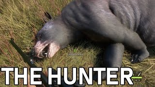 てりやきの狩猟ライブLIVE 2/19【The Hunter Call of the wind】
