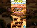 Top5 Places Visit In Botswana Must See Travel Destinations Shorts Facts Reels Top Botswana