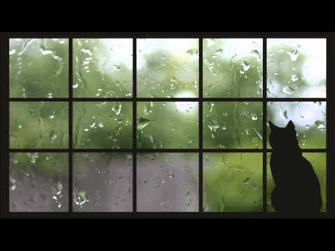 Zespół "Mikroklimat" - "Mokro" (Ślimak) - poezja śpiewana