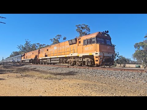 6AK8 up JBRE Great Southern (NR31 NR30, 28V), Adelaide to Stawell, 1740, 23/1/26, Deep Lead VIC 