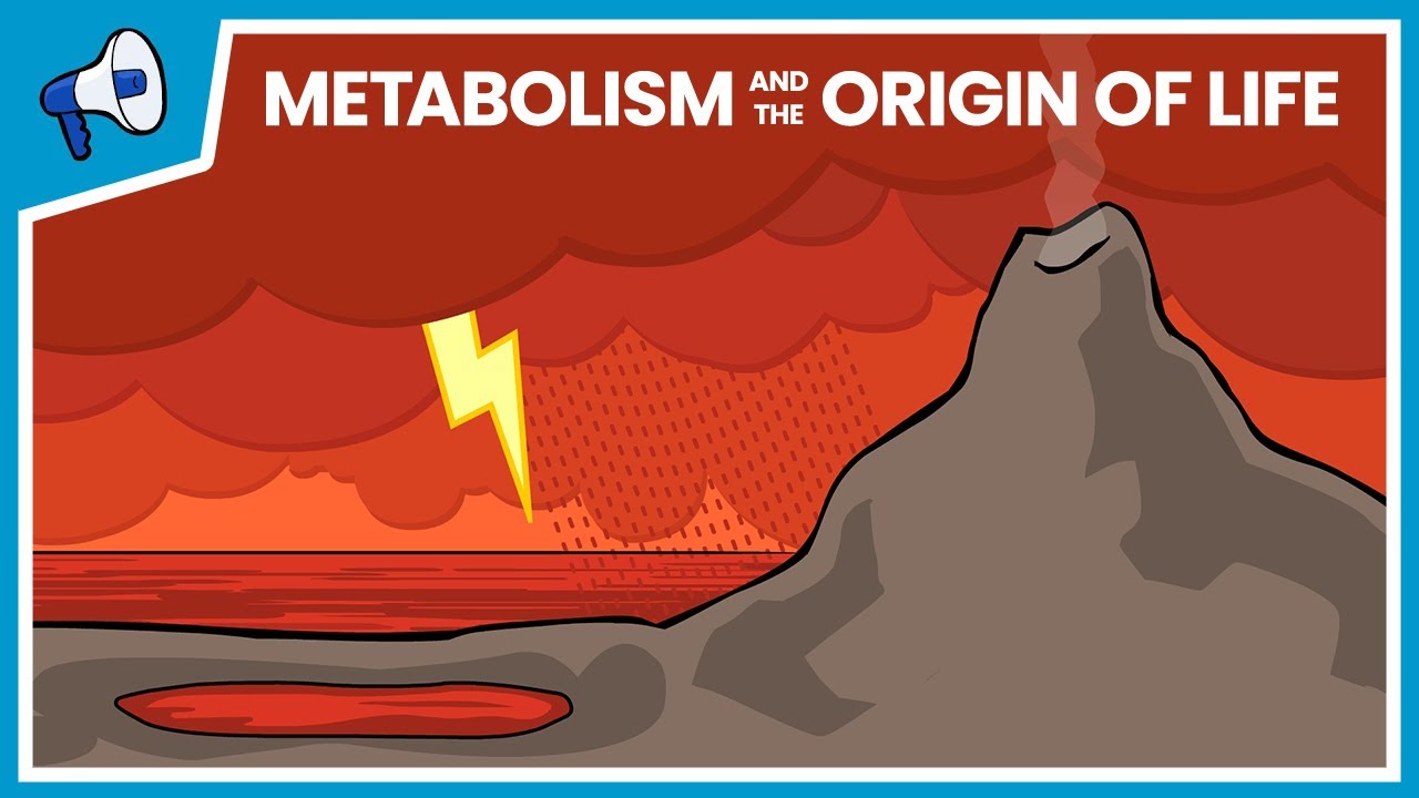 What Is The Metabolism-First Hypothesis For The Origin Of life?