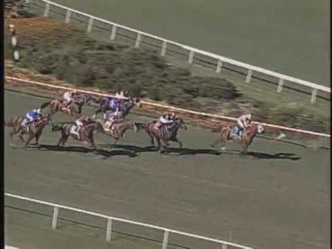 Hollywood Shoemaker Breeders' Cup Mile