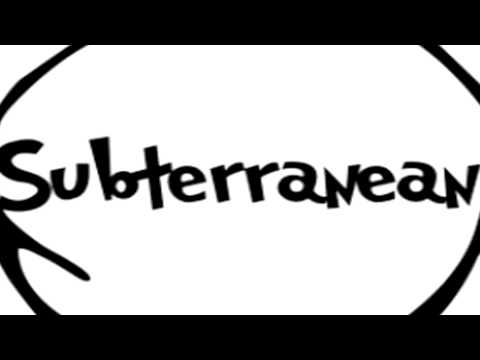 Live Dubstep And EDM Mix 2014 (Subterranean @ Cats In The Phats)