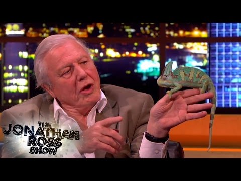 David Attenborough Narrates The Jonathan Ross Show #ThrowbackThursdays | The Jonathan Ross Show