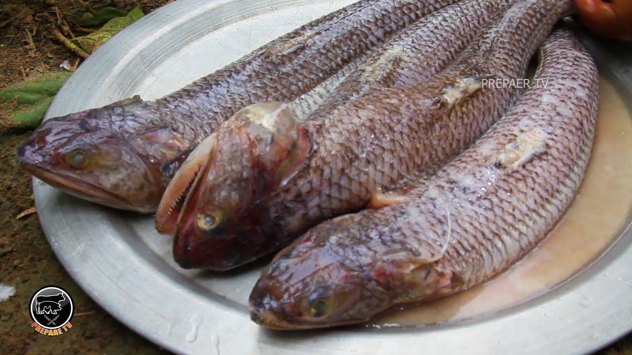 Kilanga fish cleaning | Fish Cleaning Fish Cutting With Skills And Remove Skins In Prepare Tv
