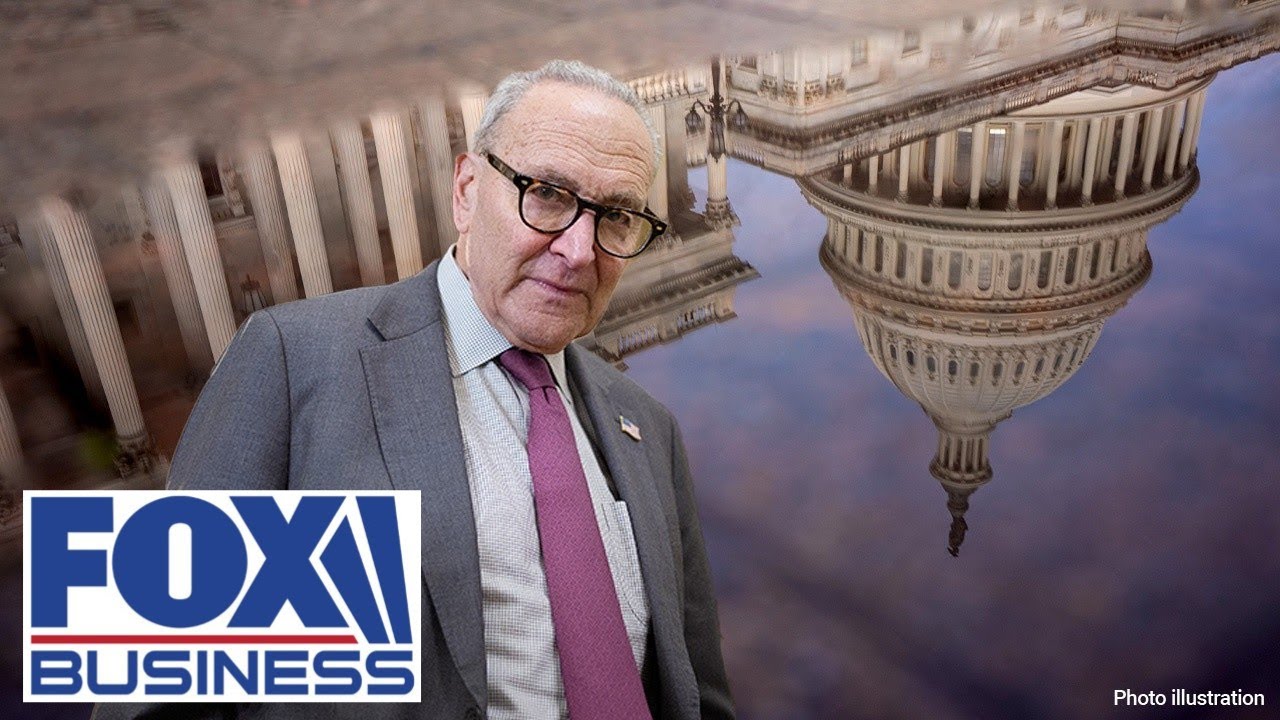 'SCHUMER POSITION': This is not going to work for Americans long-term, lawmaker says